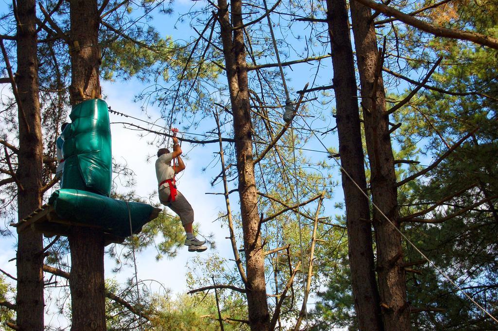 Camping Des Roses 4*